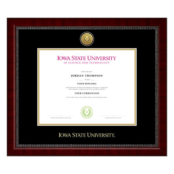 Church Hill Classics Sutton Gold Medallion Bachelor's Degree Diploma Frame #11
